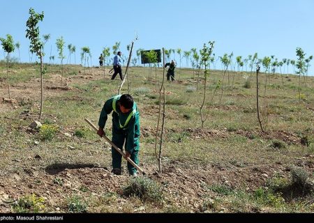 لزوم توسعه کمربند سبز برای مقابله با ریزگردها در قم