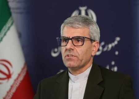 بقائی: قطعنامه جدید شورای حکام حتما با واکنش ایران مواجه می‌شود