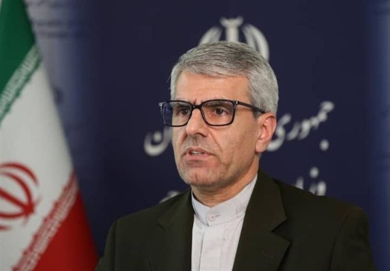 بقائی: قطعنامه جدید شورای حکام حتما با واکنش ایران مواجه میشود