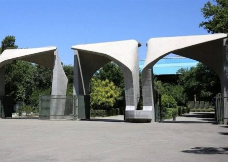 قطع همکاری دانشگاه تهران با دو استاد هتاک و توضیحات این دانشگاه